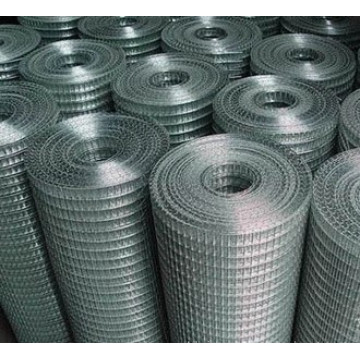 Galvanized Welded Wire Mesh Anping Factory